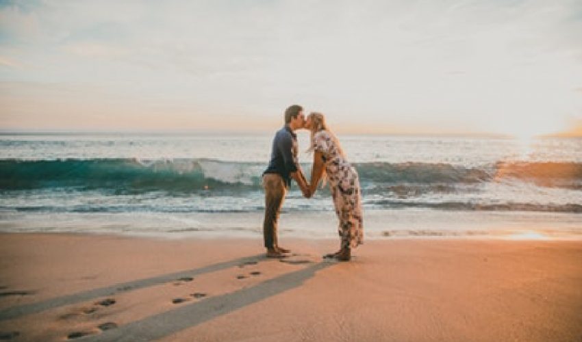 betube-wp-theme