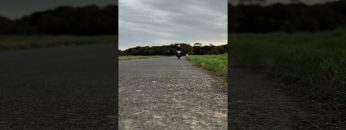 [ID: ZKeVetG99HA] Youtube Automatic