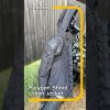 Private: [ID: Q-znwI-cZAw] Youtube Automatic