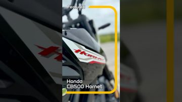 Private: [ID: tWOhmmUhoEI] Youtube Automatic