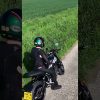 [ID: o_coWyZpT0c] Youtube Automatic